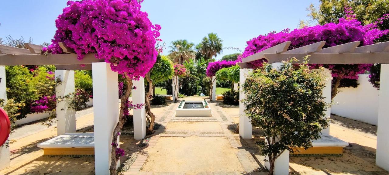 Con Jardin Y Piscina En Playa Apartamento *